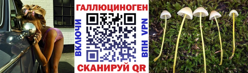 Галлюциногенные грибы MAGIC MUSHROOMS  Купить где  Новоаннинский 